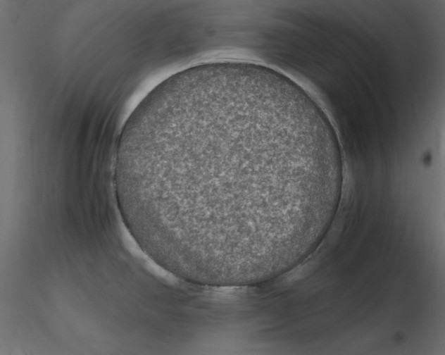 X0000116581390200912312005