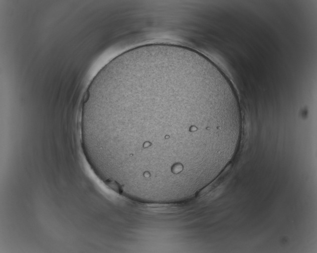 X0000116581391200912312005