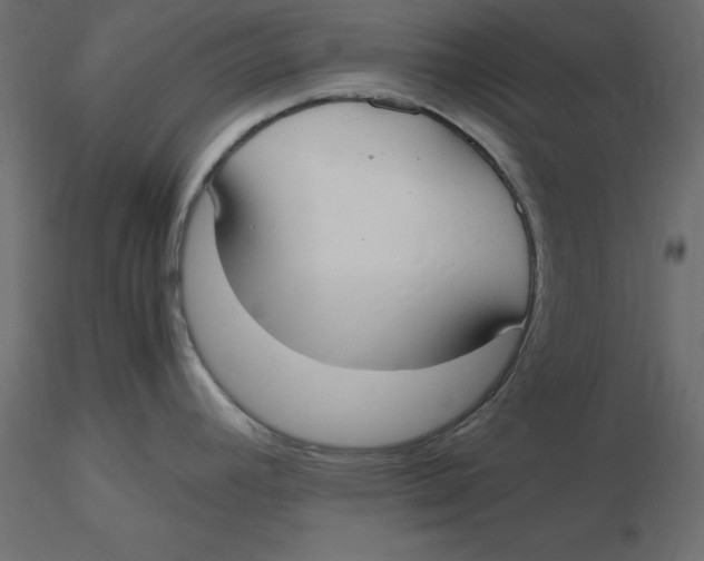 X0000116581392200912312005