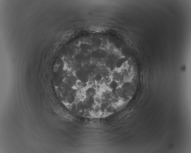 X0000116581393200912312004