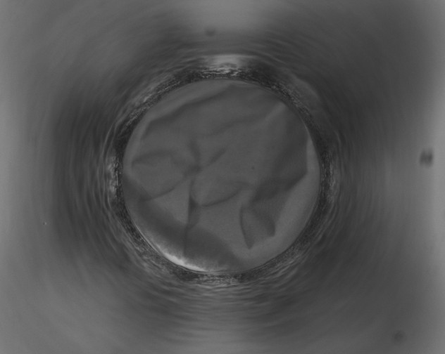 X0000116581394200912312004