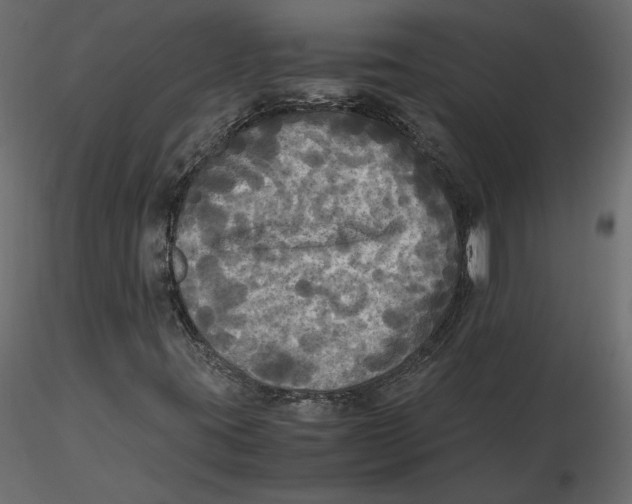 X0000116581395200912312004