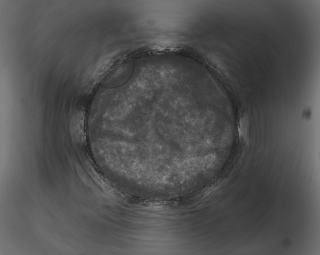 X0000116581396200912312004