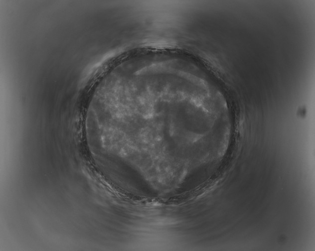 X0000116581398200912312004