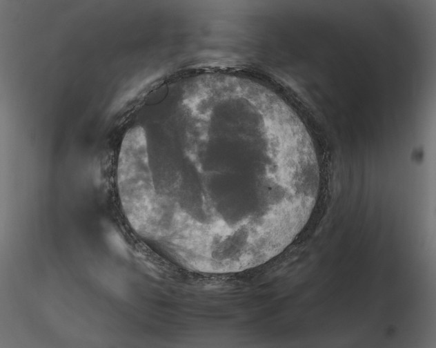 X0000116581399200912312004