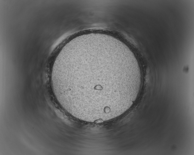 X0000116581400200912312004