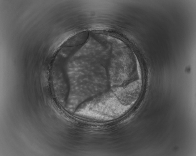 X0000116581401200912312004