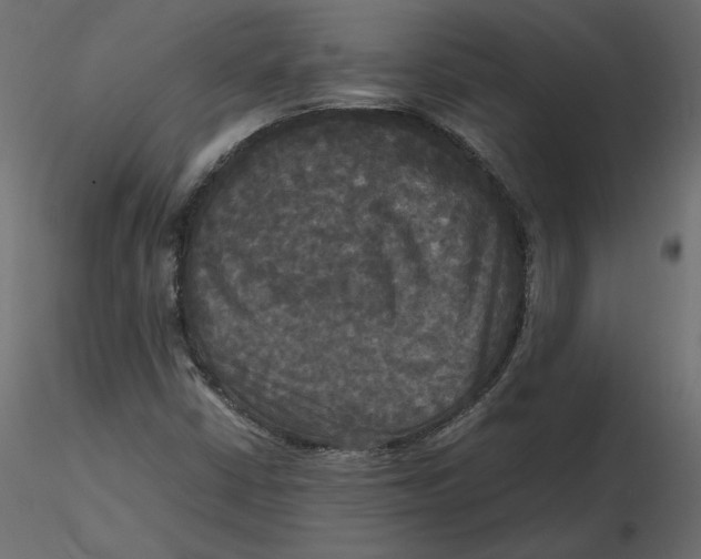 X0000116581402200912312004