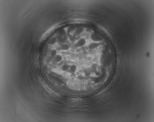 X0000116581403200912312004