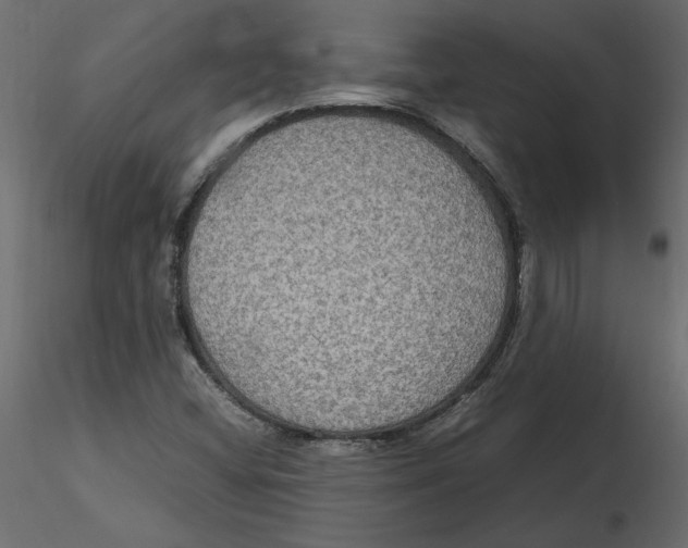 X0000116581404200912312005