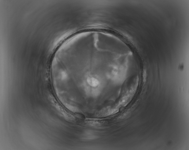 X0000116581405200912312005