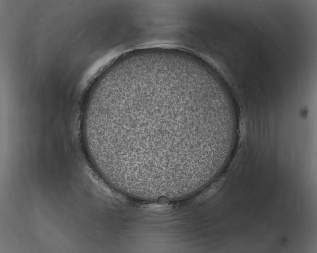 X0000116581406200912312005