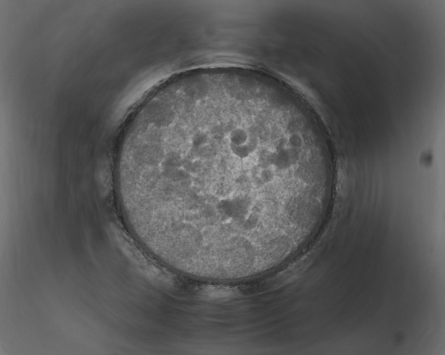 X0000116581407200912312005