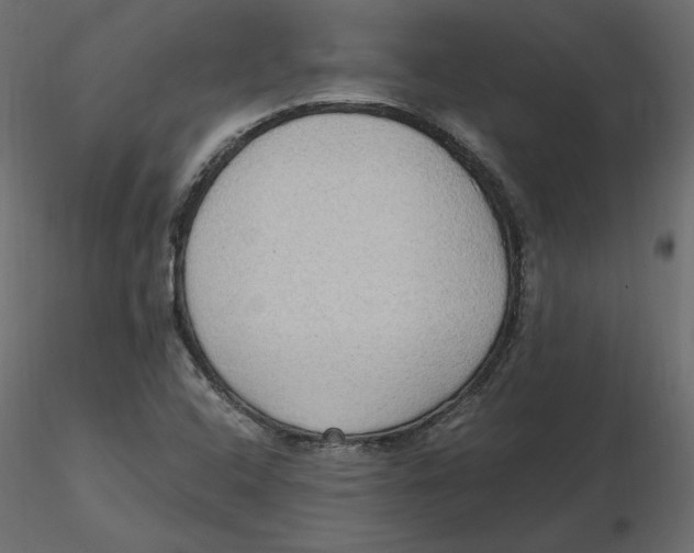 X0000116581408200912312005