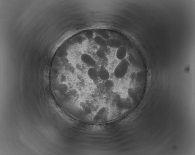 X0000116581409200912312005