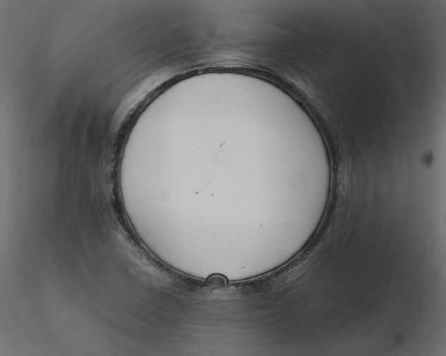 X0000116581410200912312005