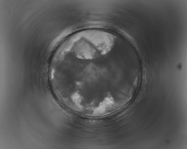 X0000116581411200912312005