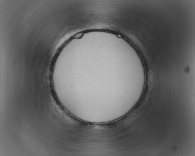 X0000116581412200912312005