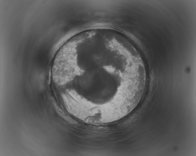 X0000116581413200912312005