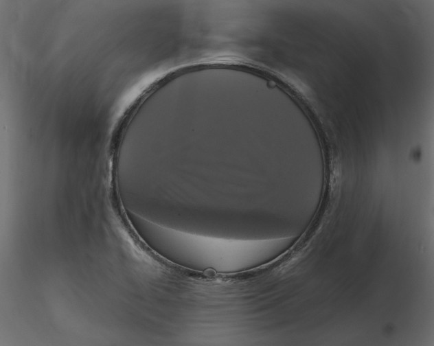 X0000116581414200912312005