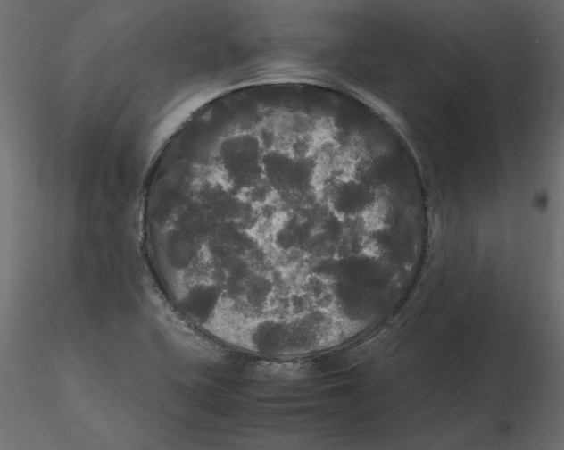 X0000116581415200912312005