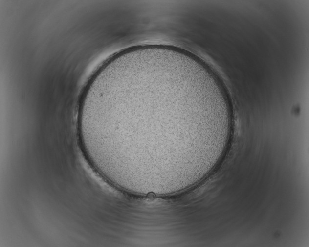 X0000116581416200912312005