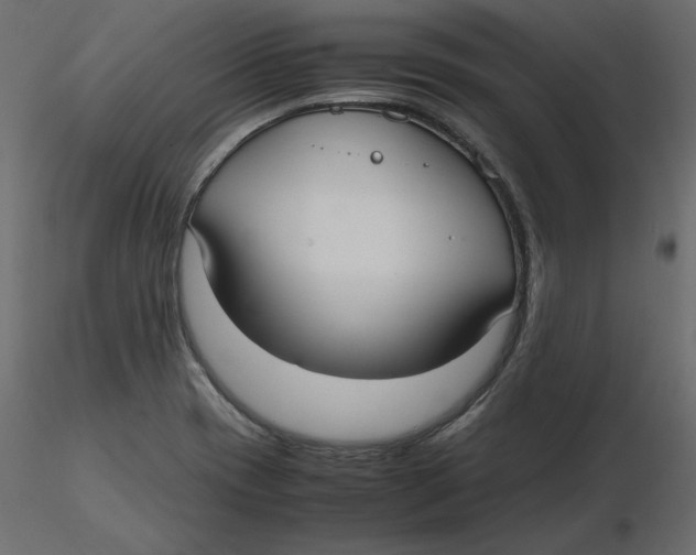 X0000116581417200912312005