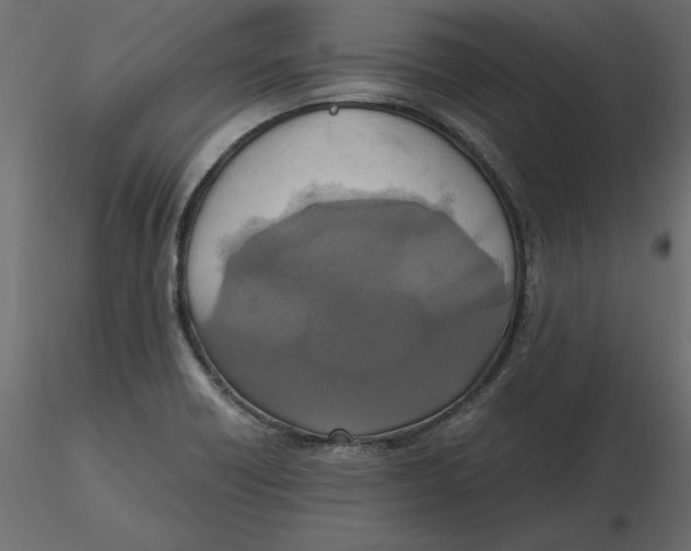 X0000116581418200912312005