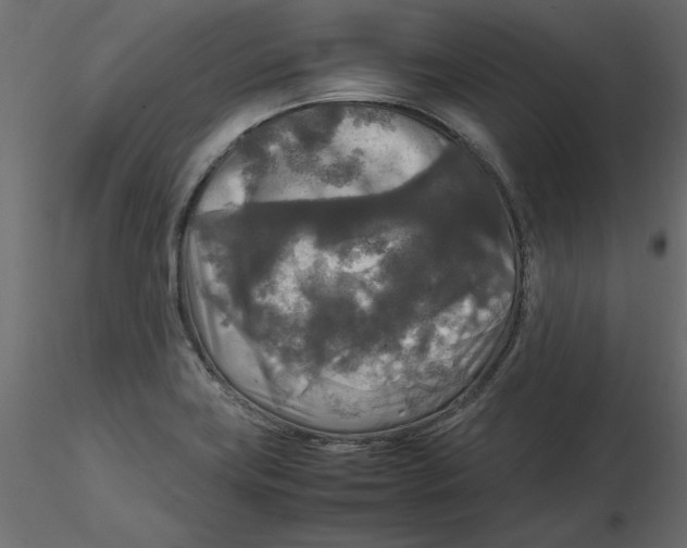 X0000116581419200912312005