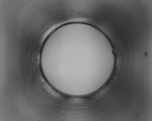 X0000116581420200912312005