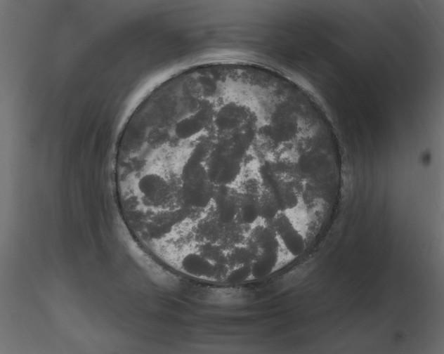 X0000116581421200912312005