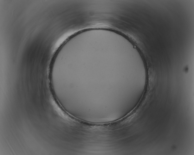 X0000116581422200912312005