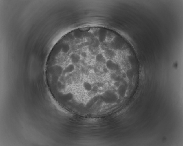 X0000116581423200912312005