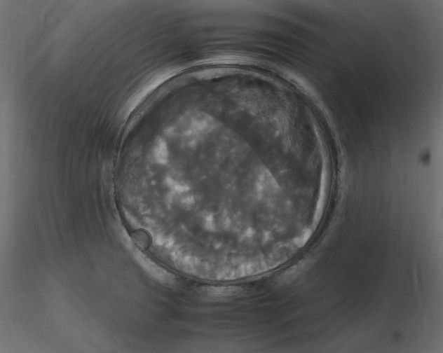 X0000116581425200912312005