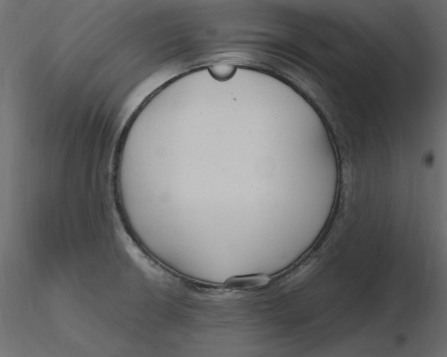 X0000116581426200912312005