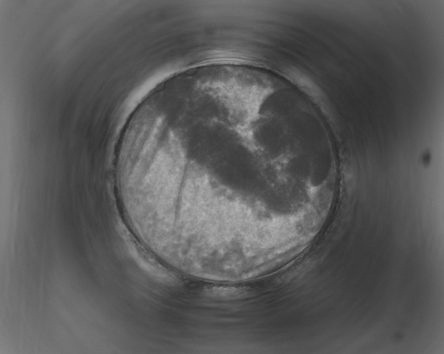 X0000116581427200912312005