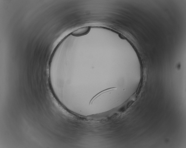 X0000116581428200912312005