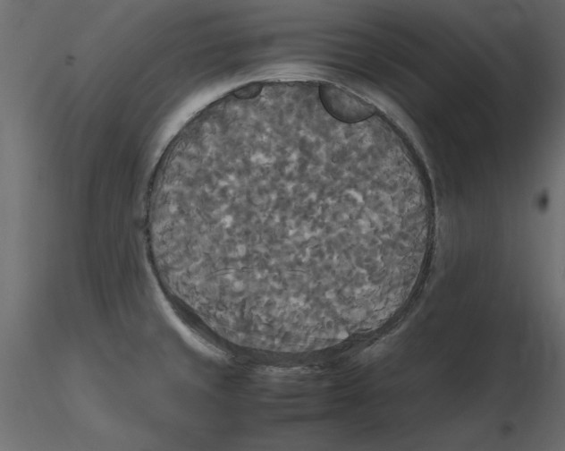 X0000116581429200912312005