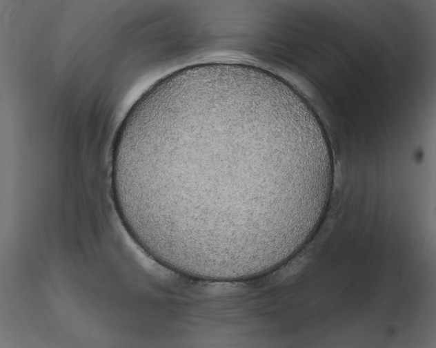 X0000116581430200912312005