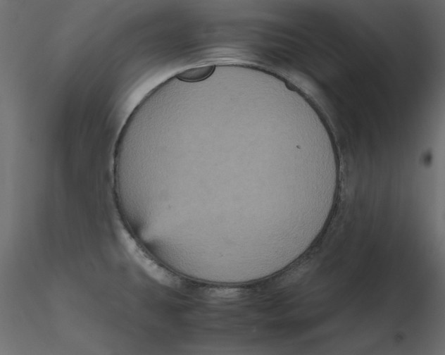 X0000116581431200912312005