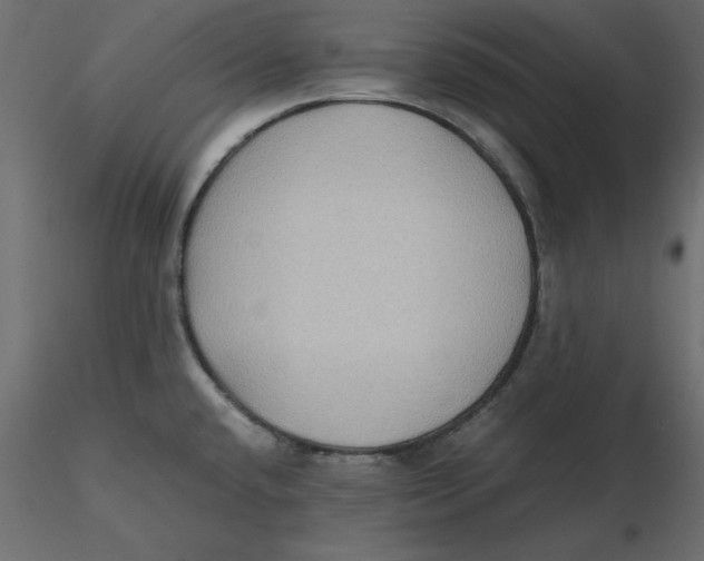 X0000116581432200912312005