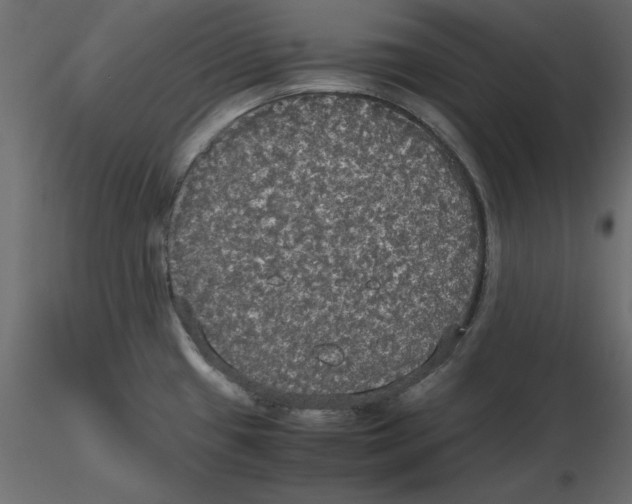 X0000116581433200912312005