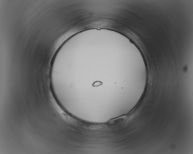 X0000116581434200912312005