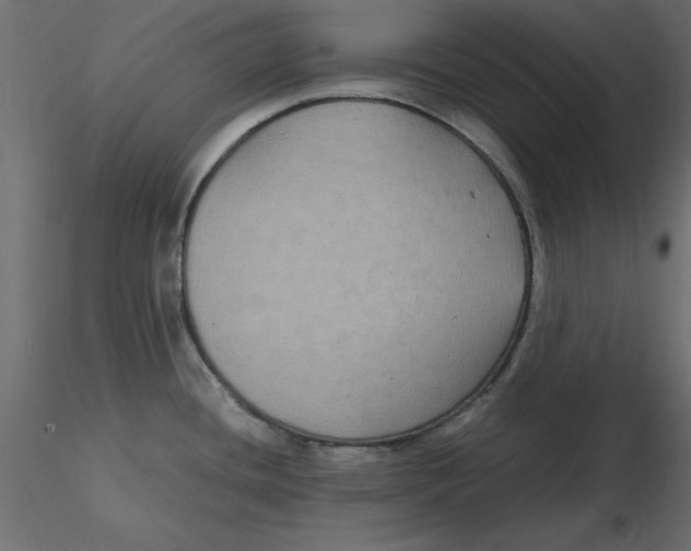 X0000116581436200912312005