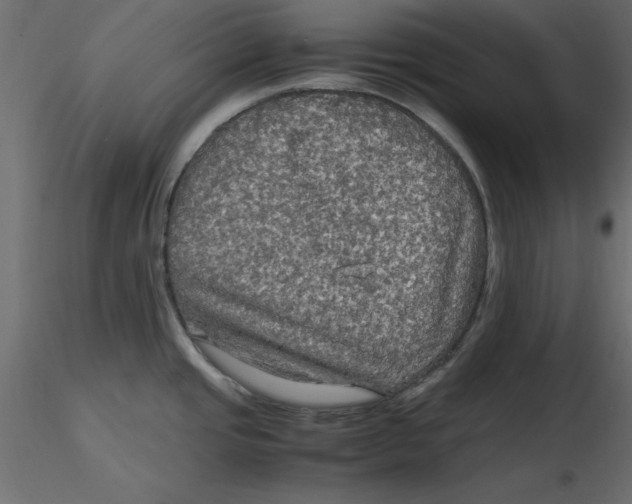 X0000116581437200912312005