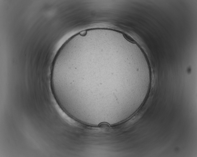 X0000116581438200912312005