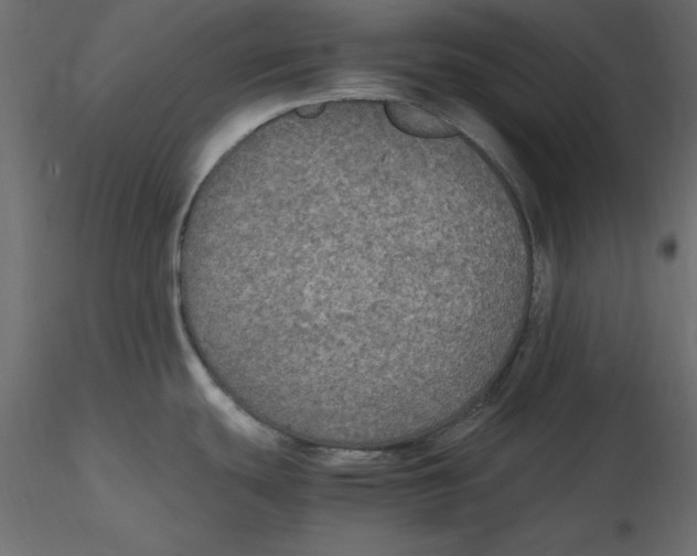 X0000116581439200912312005