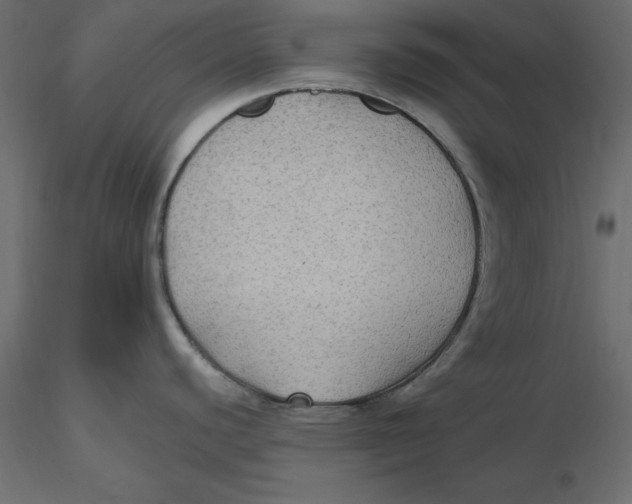 X0000116581440200912312005