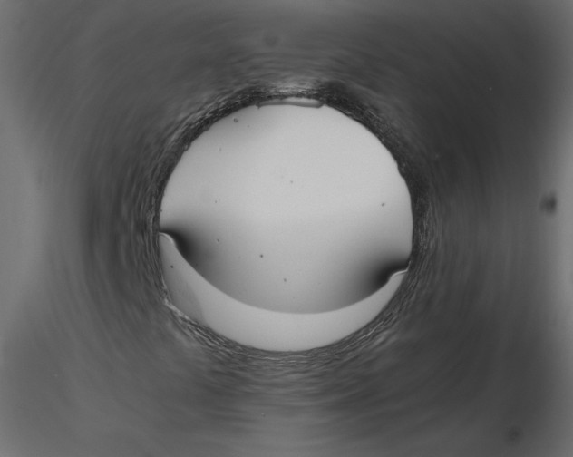 X0000116581441200912312004