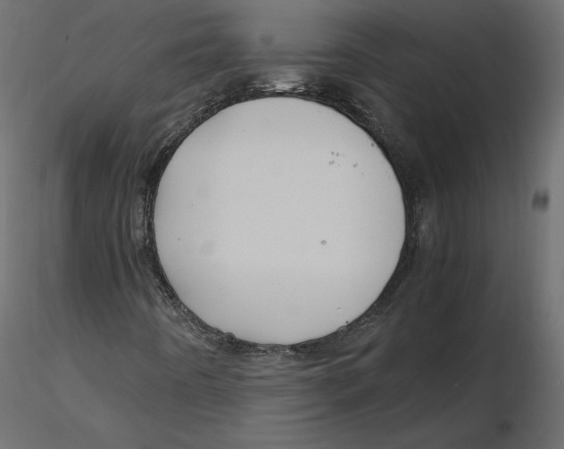 X0000116581442200912312004